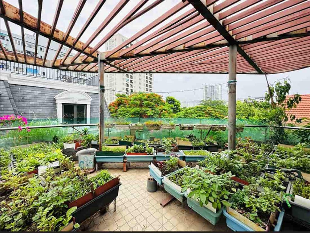 Bán biệt thự sân vườn 269m2 tại Dịch Vọng, full nội thất, giá 76 tỷ