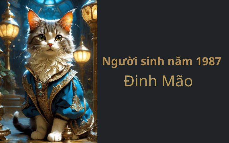 Giải Mã Bí Ẩn Người Sinh Năm 1987 Để Tránh Được Các Tai Họa Về Tình Duyên, Hôn Nhân, Công Danh Và Sự Nghiệp