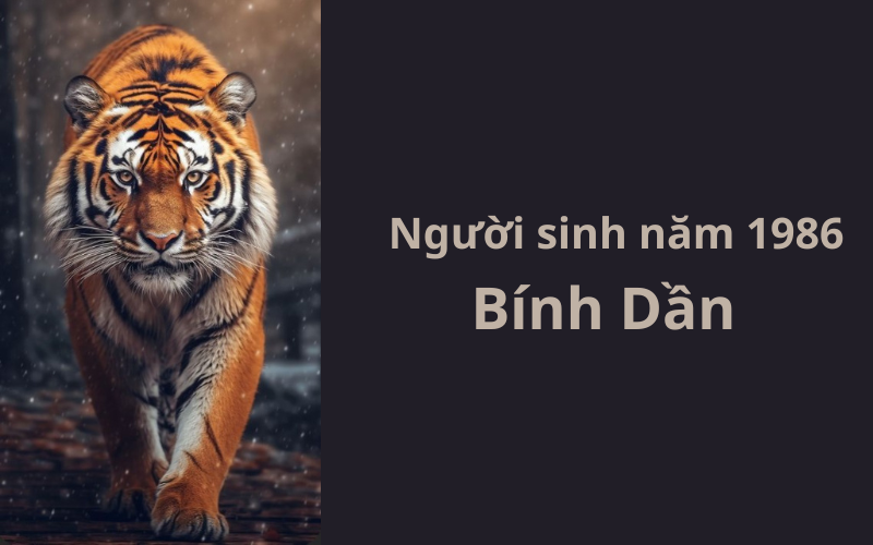Tìm hiểu về người sinh năm 1986: tính cách đặc trưng, vận mệnh theo tử vi Bính Dần, sự nghiệp, tình duyên, và phong thủy