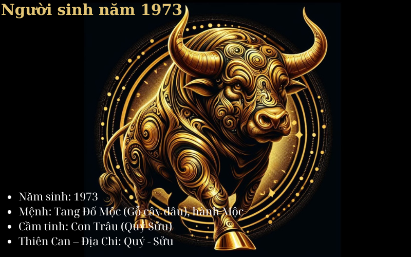 Người sinh năm 1973 mệnh gì? Tình duyên và sự nghiệp của người mệnh Thủy