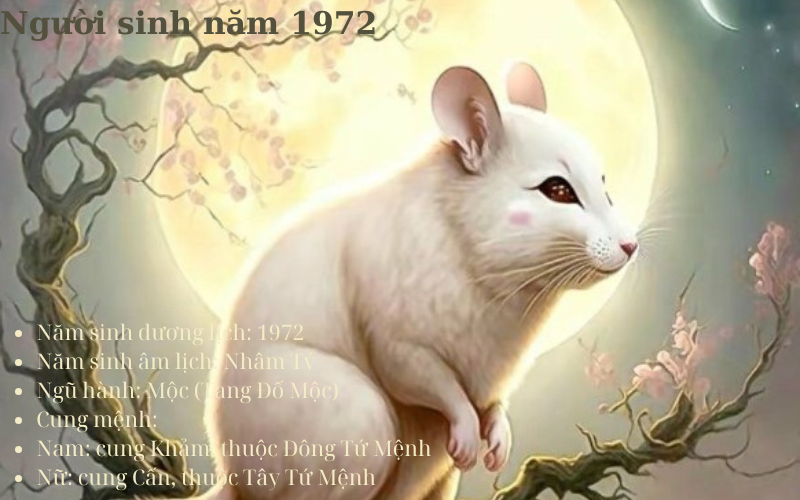 Người sinh năm 1972 mệnh gì, những bí ẩn mà bạn chưa biết về đường tình duyên và sự nghiệp