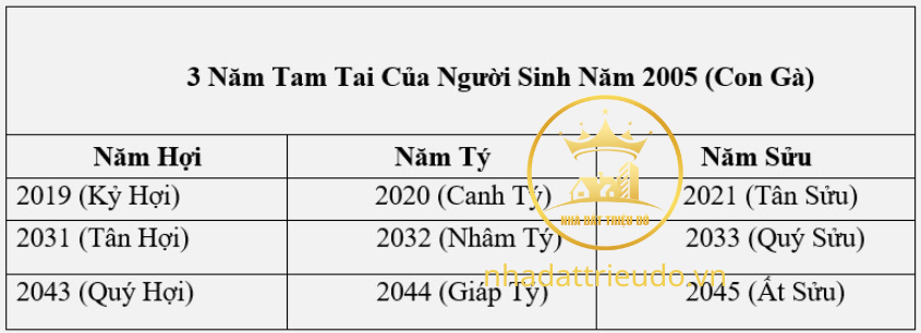 người sinh năm 2005 Ất Dậu