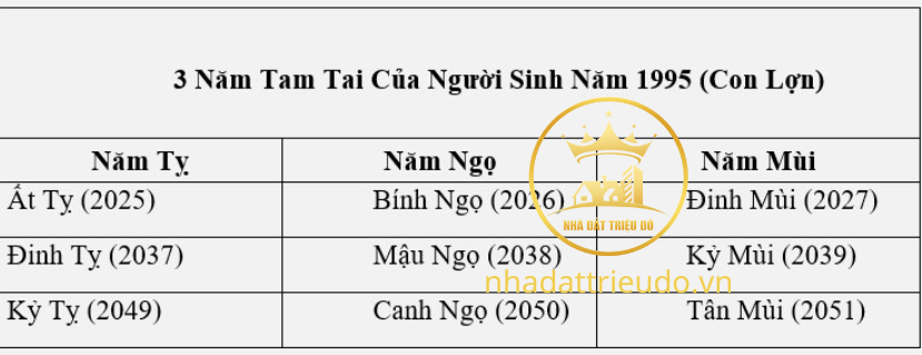 người sinh năm 1995 Ất Hợi