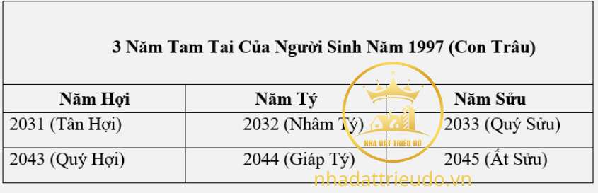 người sinh năm 1997 Đinh Sửu