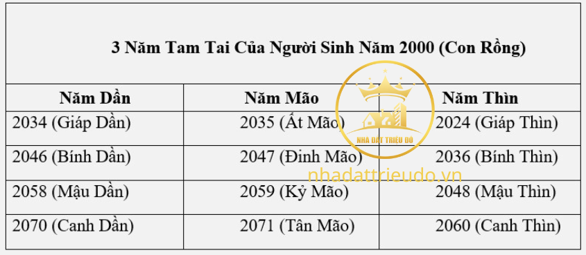 người sinh năm 2000 tuổi Canh Thìn (con rồng)