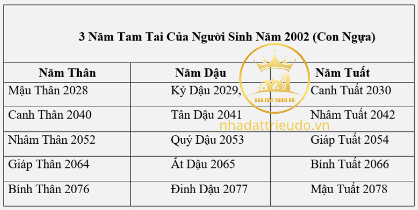 người sinh năm 2002 Nhâm Ngọ