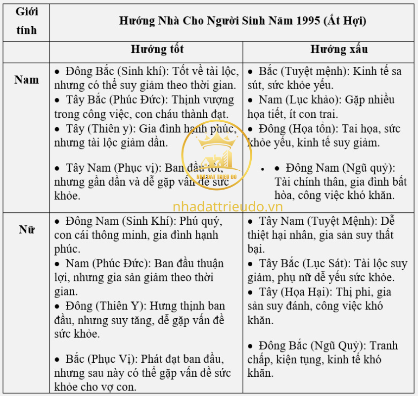 người sinh năm 1995 Ất Hợi