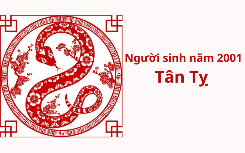 Người Sinh Năm 2001 Mệnh Gì? Khám Phá Tính Cách, Đường Tình Duyên, Sự Nghiệp và Những Bí Ẩn Về Cuộc Đời Người Tuổi Tân Tỵ