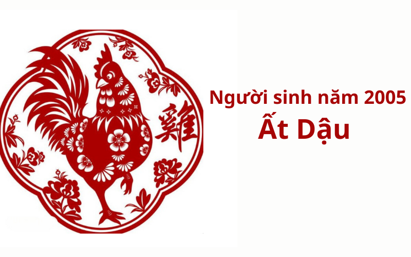 Người Sinh Năm 2005 Mệnh Gì? Giải Mã Chi Tiết Vận Mệnh Tuyền Trung Thủy, Đường Tình Duyên, Công Danh và Những Bước Ngoặt Trong Cuộc Sống