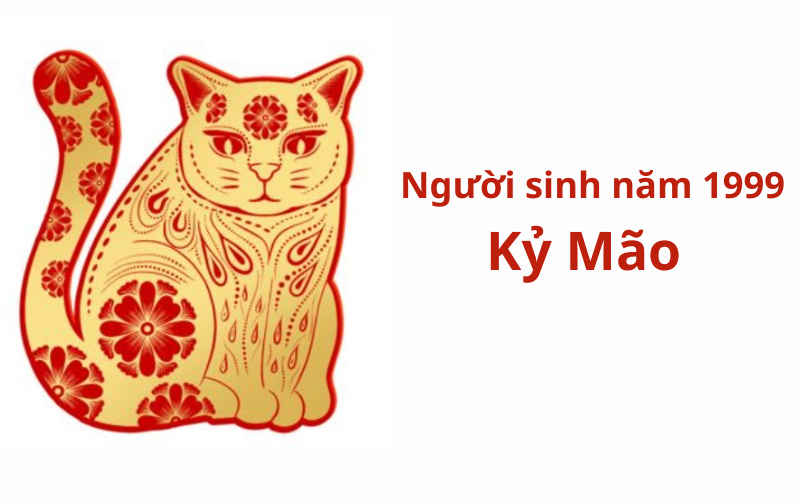 Người Sinh Năm 1999 Là Tuổi Gì? Tìm Hiểu Về Mệnh, Hướng Tốt Xấu và Cách Thu Hút May Mắn