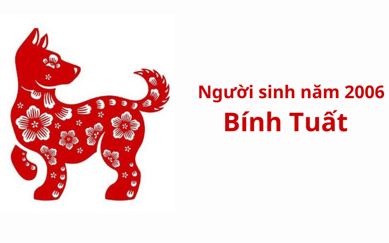 Người Sinh Năm 2006: Mệnh Gì, Tính Cách Thế Nào? Hướng Dẫn Chi Tiết Về Tình Duyên, Sự Nghiệp và Phong Thủy Hợp Mệnh