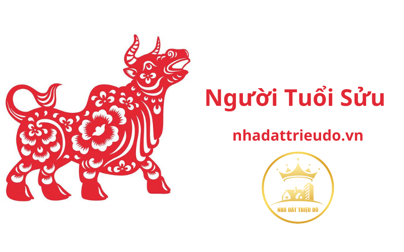 Người tuổi Sửu: Tổng quan tử vi và phong thuỷ