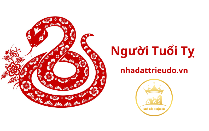 Người tuổi Tỵ: Tổng quan tử vi và phong thuỷ