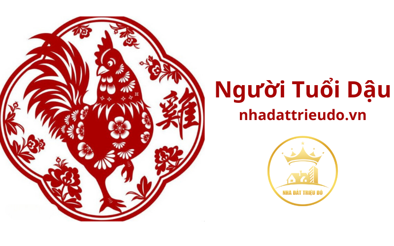 Người tuổi Dậu: Tổng quan tử vi và phong thuỷ