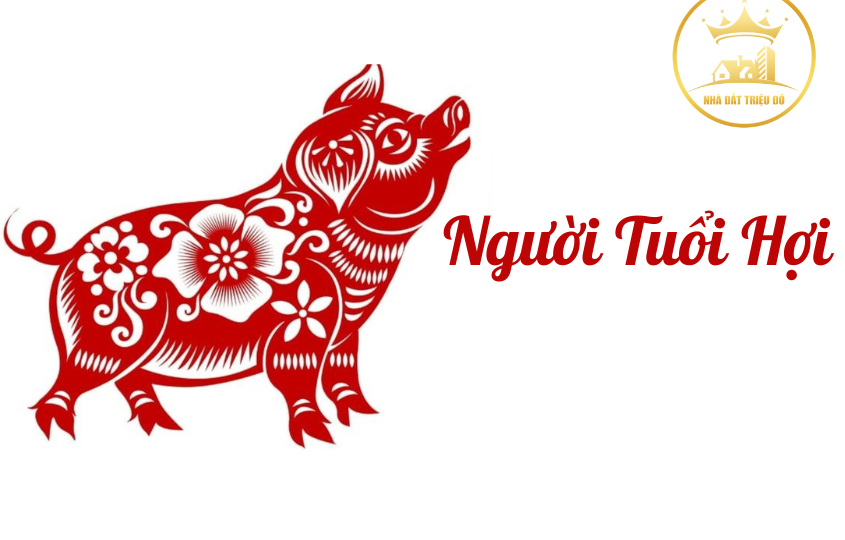 Người tuổi Hợi: Tổng quan tử vi và phong thuỷ