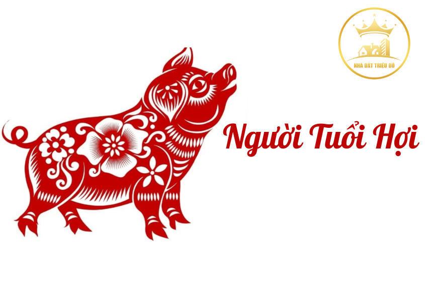 Người tuổi Hợi