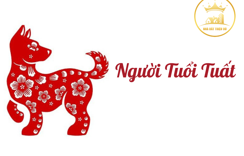 Người tuổi Tuất: Tổng quan tử vi và phong thuỷ