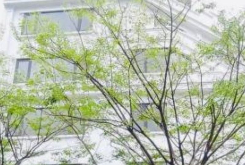 Bán nhà Phạm Văn Đồng 207m², 8 tầng, lô góc, MT 12m, Giá 70 tỷ