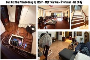 Bán Biệt Thự Phân Lô Láng Hạ 125m² – Mặt Tiền 10m – Ô Tô Tránh – Giá 50 Tỷ