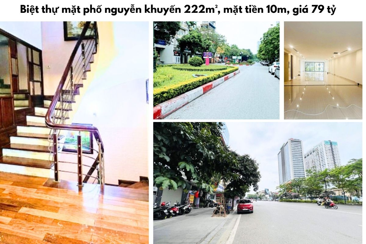 Biệt thự mặt phố nguyễn khuyến 222m², mặt tiền 10m, giá 79 tỷ